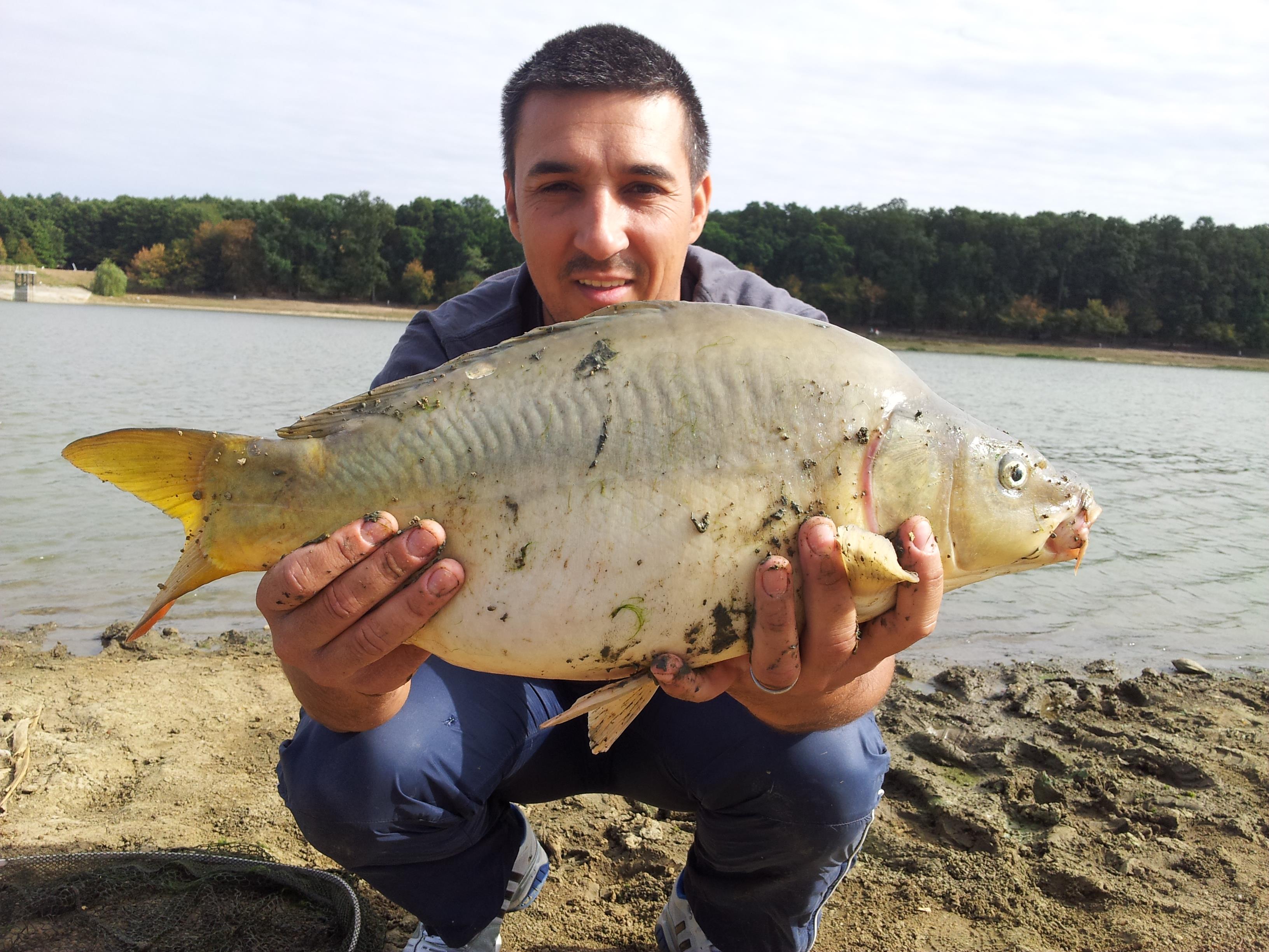 Cetariu 16 - 16 sep. 2012 - 20120916_154904.jpg